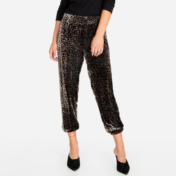 Johnny Was Pants - NWOT JOHNNY WAS LEOPARD VELVET JOGGER